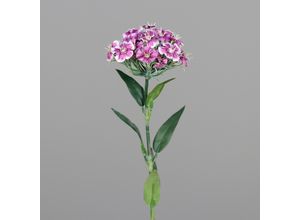 4099886006998 - Kunstblume DIANTHUS
