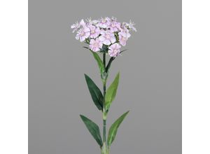 4099886007018 - Kunstblume DIANTHUS