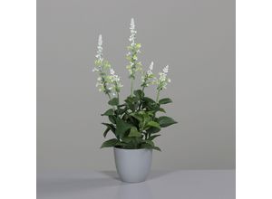 4099886029928 - Kunstblume Salbei (H 42 cm) H 42 cm beige Pflanze Kunstpflanze Zimmerpflanze