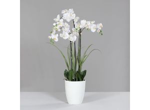 4099886042101 - Kunstblume Orchidee