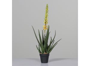 4099886054302 - Kunstpflanze Aloe VERA