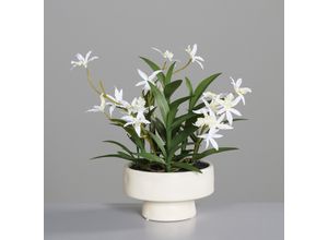 4099886055156 - Kunstblume ORCHIDEE