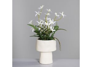 4099886055163 - Kunstblume ORCHIDEE