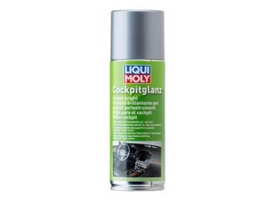 4100420015106 - LIQUI MOLY Kunststoffpflegemittel 1510 P001055