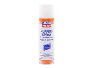 4100420039706 - LIQUI MOLY Kupferfett 3970 P003457