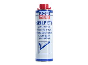 4100420061738 - LIQUI MOLY Fett 6173 P000409