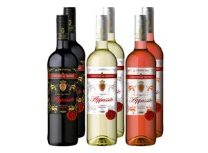 4101080080985 - Weinpaket Lorenzo de Medici Appassite verschiedene Sorten 130 % vol 6 x 075 Liter