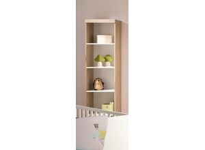 4250004601413 - Standregal -klein- PAIDI REMO (BHT 48x199x40 cm)