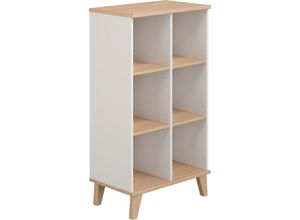 4250004681323 - Standregal PAIDI Fiene Regale Gr B H T 120 cm x 66 cm x 40 cm 6 St grau (kieselgrau scandinavian wood) Standregale