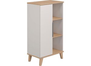 4250004681330 - Standregal PAIDI Fiene Regale Gr B H T 120 cm x 66 cm x 40 cm 6 St grau (kieselgrau scandinavian wood) Standregale Tür links oder rechts montierbar