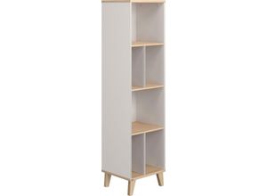 4250004683624 - Standregal PAIDI Fiene Hochregal Regale Gr B H T 181 cm x 48 cm x 40 cm 6 St grau (kieselgrau scandinavian wood) Standregale