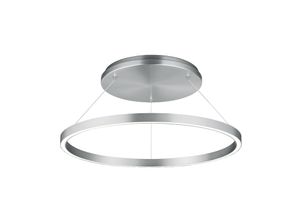 4250035831056 - LED-Hängeleuchte Lisa-D ringförmig nickel matt