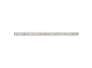 4250047715306 - Leuchten 15271008 LED-Streifen 24 V 5 m Blau 1 St