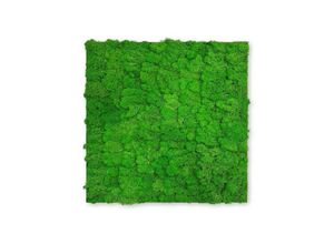 4250055118250 - Modular Wall Akustik 3D Paneele 520 x 520 mm Rich Green Moos Moos Pflanzenwand Paneele Echtmoos - Jangal