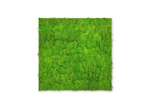 4250055118267 - Modular Wall Akustik 3D Paneele 520 x 520 mm Bright Green Moos Moos Pflanzenwand Paneele Echtmoos - Jangal