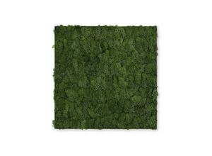 4250055118274 - Modular Wall Akustik 3D Paneele 520 x 520 mm Dark Green Moos Moos Pflanzenwand Paneele Echtmoos - Jangal