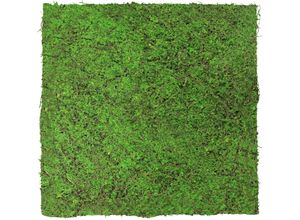 4250055118748 - Jangal - Modular Wall Akustik 3D Paneele 520 x 520 mm Forest Green Ancient Tree Kunst Pflanzwand Naturfaser