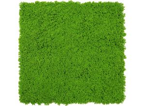 4250055119141 - Modular Wall Akustik 3D Paneele 520 x 520 mm Lime Green Design Moos Kunst Pflanzwand Moospaneele - Jangal 4250055119141 - Modular Wall Akustik 3D Paneele 520 x 520 mm Lime Green Design Moos Kunst Pflanzwand Moospaneele - Jangal