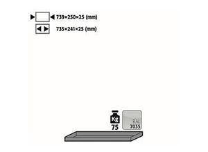4250101139758 - Fachboden Standard für asecos Druckgasflaschenschränke Stahlblech lichtgrau B 739 x T 250 x H 25 mm bis 75 kg