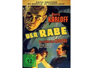 4250124370220 - Der Rabe (DVD)