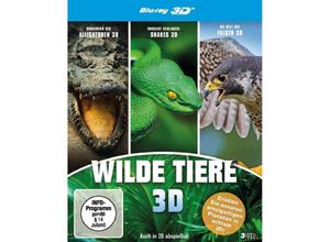 4250128416306 - Königreich der Alligatoren Vorsicht Schlangen - Snakes 3D Welt der Falken