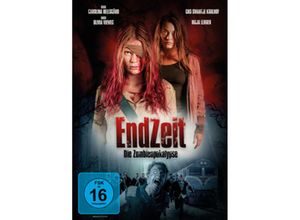 4250128434607 - Endzeit (DVD)