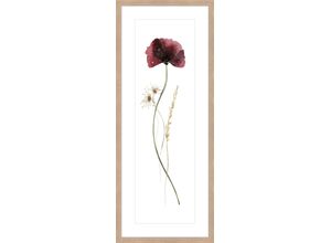 4250133653451 - Kunstdruck WILD FLOWERS I (BH 31x81 cm) BH 31x81 cm grün Bild Gemälde Wandbild