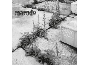 4250137237244 - Risse (+Booklet) (Vinyl) - Marode (LP)