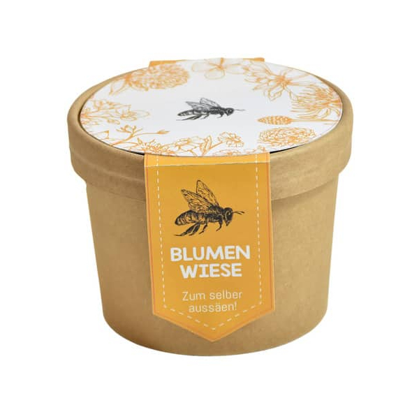 4250144778341 - Bienenwiese-Pott zum Aussäen Blumensamen-Anzuchtset Blumensam