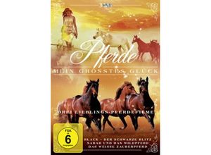 4250148711412 - Pferde - Mein gößtes Glück (DVD)