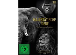 4250148723385 - Majestätische Tiere (DVD)