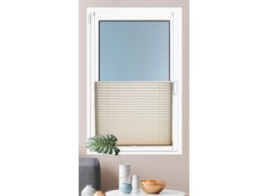 4250178707416 - Plissee »Brisa« Lichtschutz ohne Bohren verspannt Klemmfix Sichtschutz blickdicht einfarbig Klemmträger