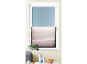 4250178707577 - Plissee »Brisa« Lichtschutz ohne Bohren verspannt Klemmfix Sichtschutz blickdicht einfarbig Klemmträger