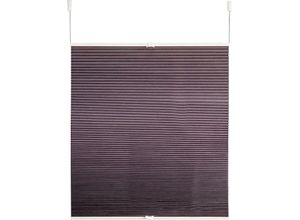 4250178712120 - Wabenplissee »Blake« verdunkelnd energiesparend ohne Bohren verspannt Thermo energiesparend beschichtet abdunkelnd isolierend