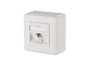 4250184136729 - Connect C6Amodul 270Â° - Steckdosenauslass - RJ 45 - 1 Netzwerkdose - Pure White RAL 9010