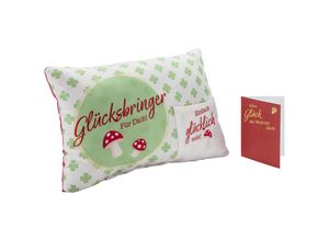 4250237384701 - Geschenkset Kissen Glücksbringer für Dich 30 x 20 x 7 cm