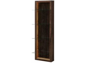 4250240261778 - Massivmoebel24 - Wandregal Akazie 45x30x145 dunkelbraun lackiert bark 204 - dunkelbraun