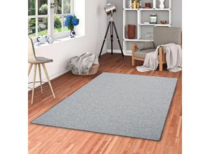 4250415979187 - - Feinschlingen Velour Teppich Strong Silbergrau - 80x200 cm