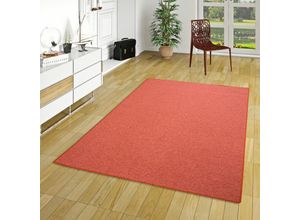 4250415980947 - - Feinschlingen Velour Teppich Strong Terrakotta - 80x200 cm