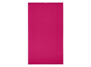 4250434105284 - Lichtblick Plissee Klemmfix ohne Bohren verspannt - Fuchsia 80 cm x 210 cm (B x L)