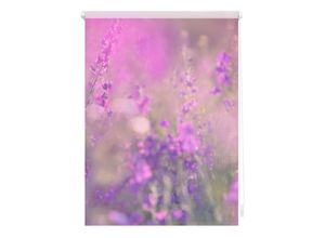 4250434115566 - Seitenzugrollo ORIGINAL Klemmfix Motiv Blumenwiese Rollos Gr 150 cm 45 cm lila (violett weiß) Rollos ohne Bohren Rollo bedruckt