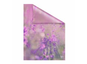 4250434126487 - Fensterfolie ORIGINAL Blumenwiese Fensterfolien Gr B L 100 cm x 180 cm lila (violett) Fensterdekoration