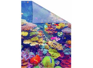 4250434129778 - Fensterfolie ORIGINAL Aquarium Fensterfolien Gr B L 100 cm x 180 cm bunt (blau gelb lila) Fensterdekoration selbstklebend Sichtschutz