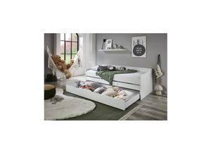 4250468583317 - - Funktionsbett Jill 90x200 inkl Rolllattenrost 3 Schubladen u Bettschublade Spanplatte weiß