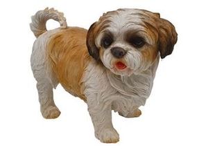 4250486134294 - - Shih Tzu stehend Dekofigur Beige 30x22x41cm Figur Polyresin