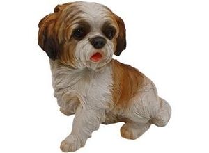 4250486134300 - - Shih Tzu sitzend Dekofigur Beige 32x21x32cm Figur Polyresin