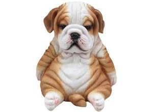 4250486143265 - Dekofigur Bulldogge sitzend 17 x 16 x 16 cm braun weiß