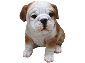 4250486143326 - Dekofigur Bulldogge sitzend 17 x 16 x 12 cm weiß braun