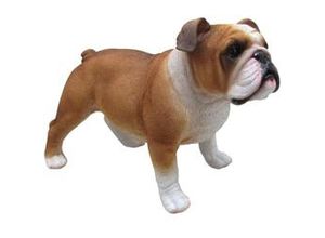 4250486143333 - Dekofigur Bulldogge stehend 37 x 24 x 17 cm braun weiß