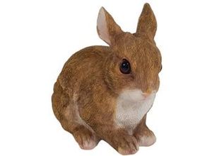 4250486176751 - - Dekofigur Hase 14 x 12 x 16 cm